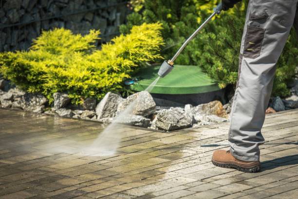 Best Animal Enclosure Cleaning  in East Whittier, CA