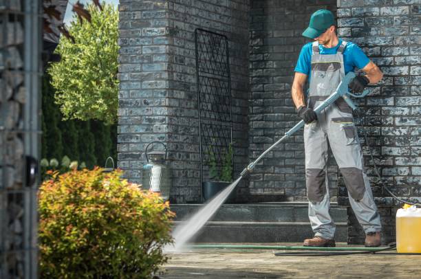Animal Enclosure Cleaning in East Whittier, CA